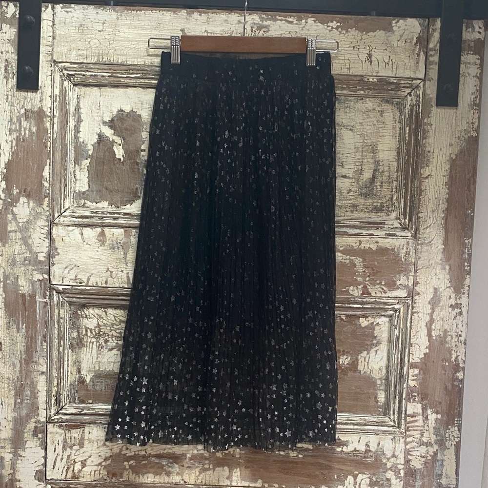 H&M FairyGoth Sheer Mesh Midi Skirt W/Slip, Size 4
